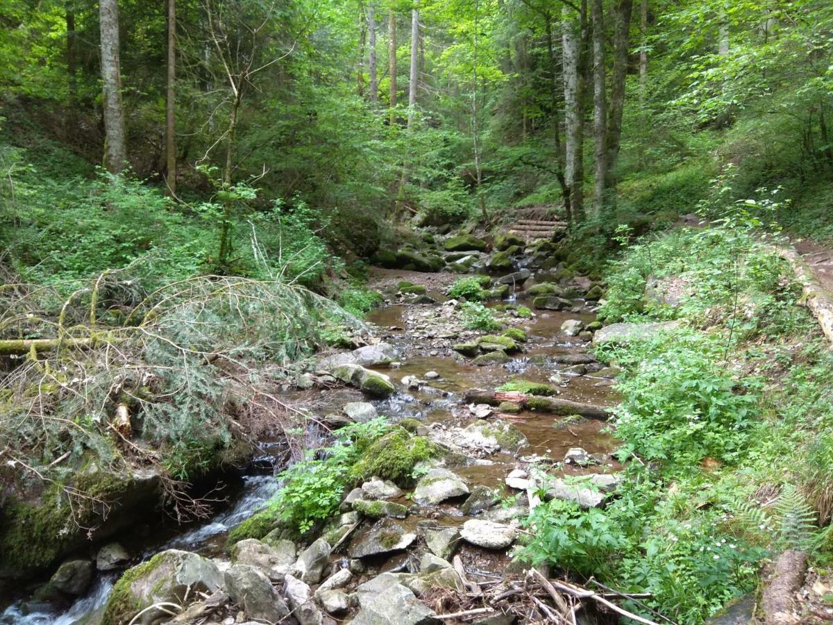 Amy'S Apartment, Relax And Enjoy Bonndorf im Schwarzwald Esterno foto