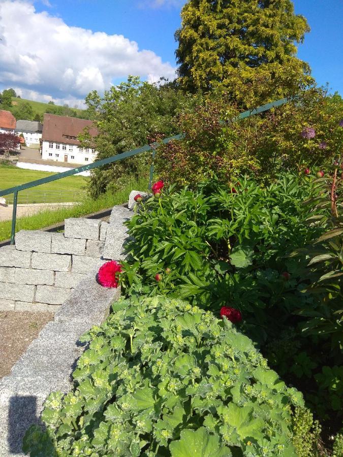 Amy'S Apartment, Relax And Enjoy Bonndorf im Schwarzwald Esterno foto